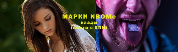 сатива Вязьма
