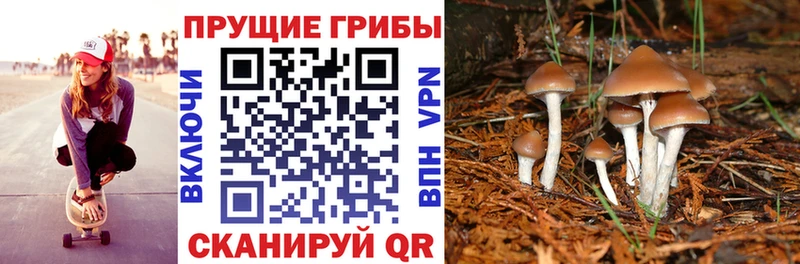 гидра tor  Новохопёрск  Галлюциногенные грибы MAGIC MUSHROOMS  наркошоп 